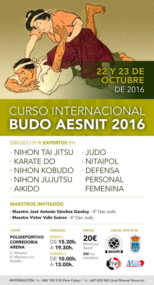 CURSO INTERNACIONAL BUDO AESNIT 2016